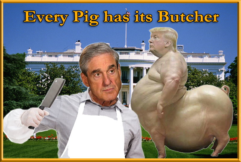 DonaldPigMueller